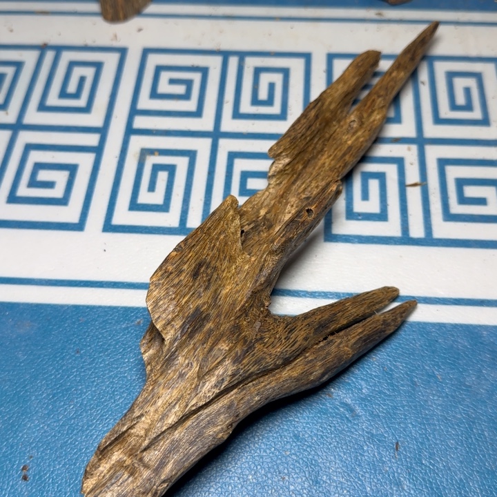 木质绿奇陆河虫漏