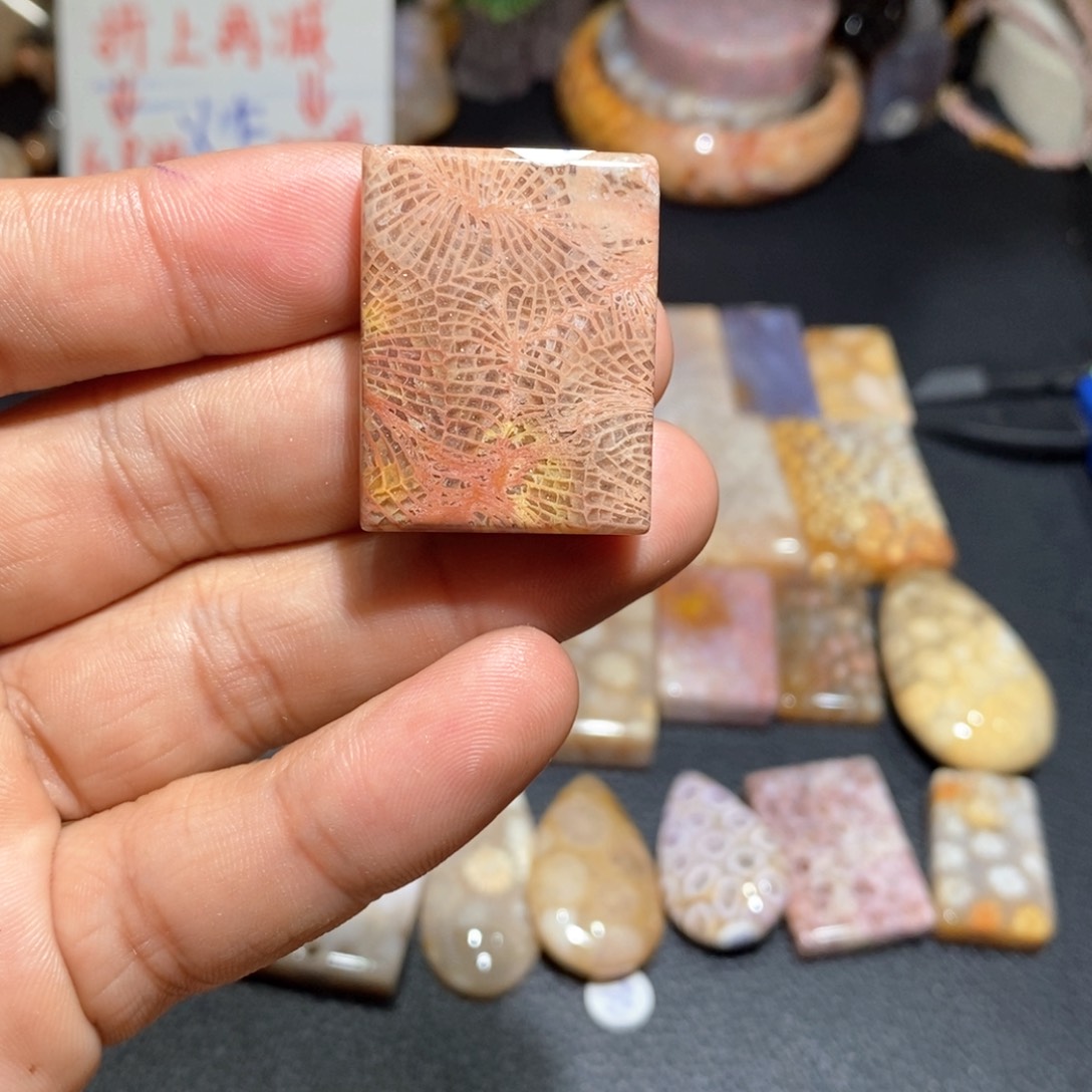 【闪购商品】硅化玉颈饰未镶嵌