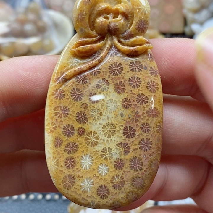 硅化珊瑚（珊瑚玉）颈饰未镶嵌