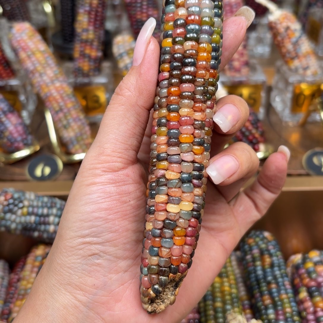 柏香籽/百香籽吊坠陆*