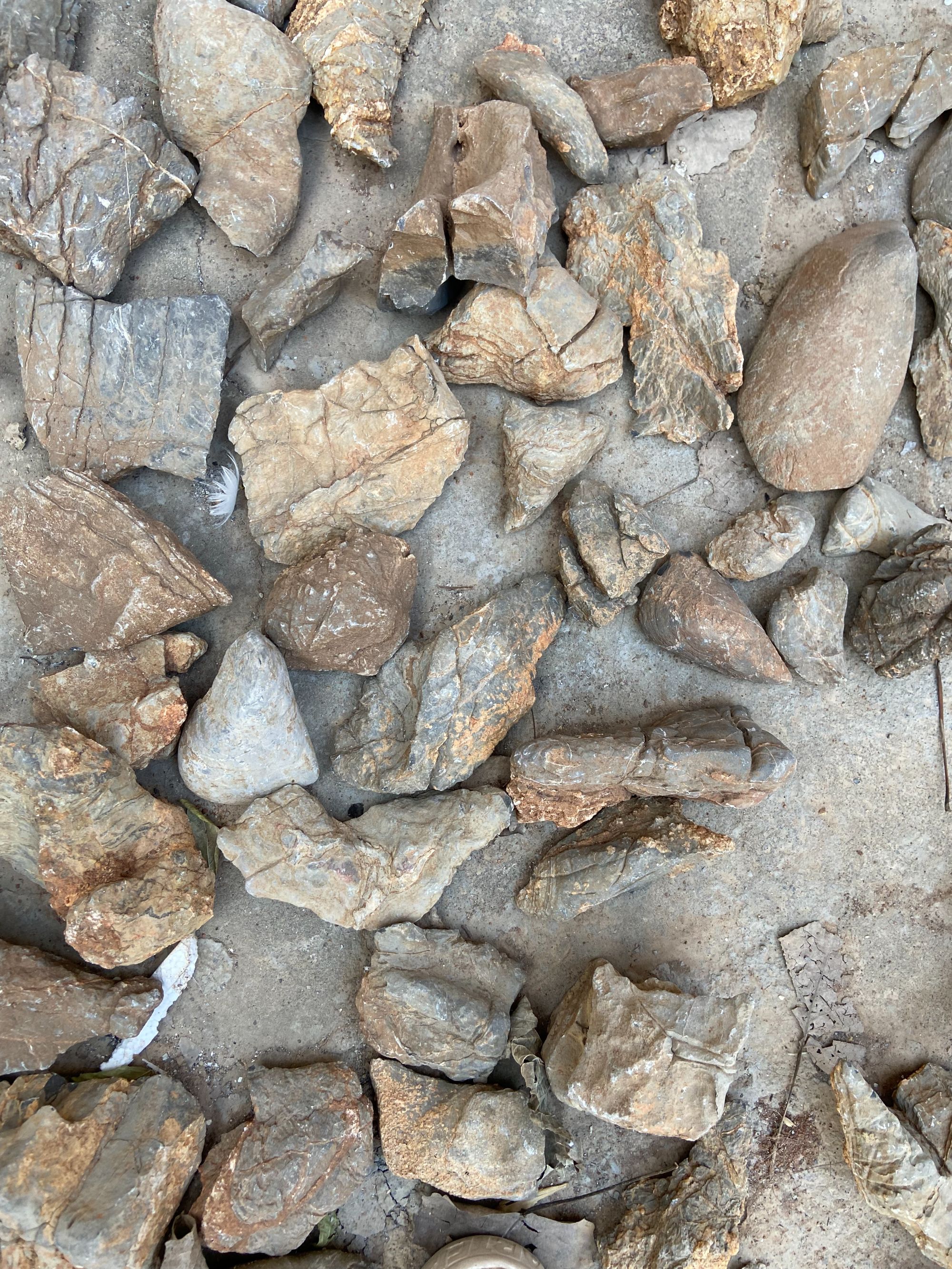 灵璧石毛石/象形石/手把件/厅堂石/文房雅器，一物一拍