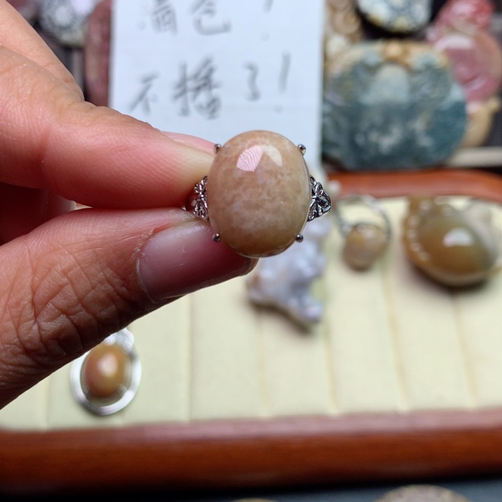 硅化珊瑚（珊瑚玉）颈饰未镶嵌