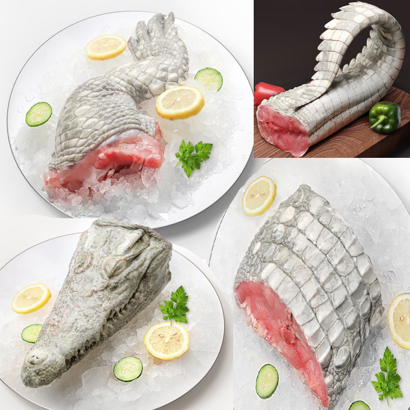 【直播间一物一拍】新鲜现杀人工养殖鳄鱼肉可用于火锅烧烤煲汤清蒸