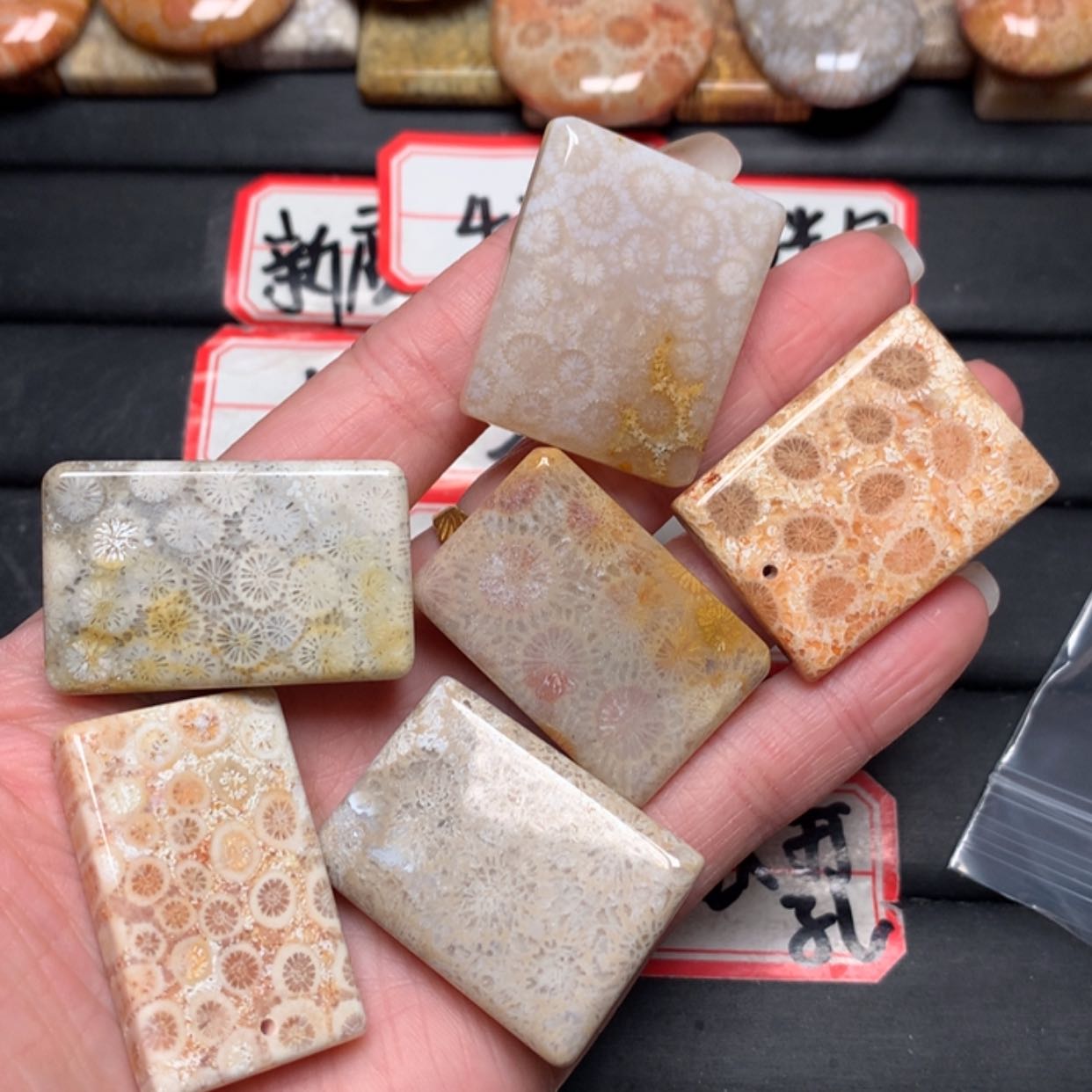 【闪购商品】硅化玉颈饰未镶嵌青****）