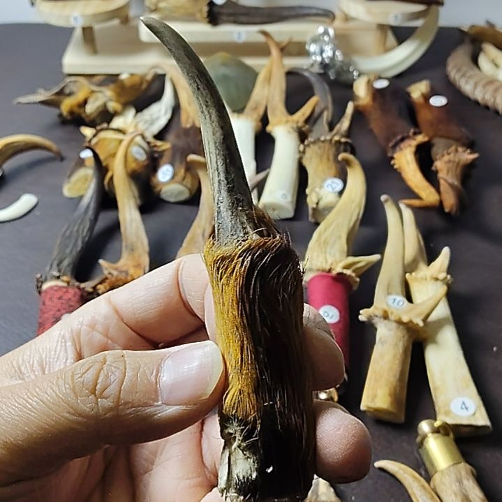 鹿缘坊直播间选货