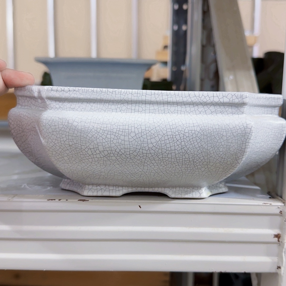 陶瓷花盆特价上新