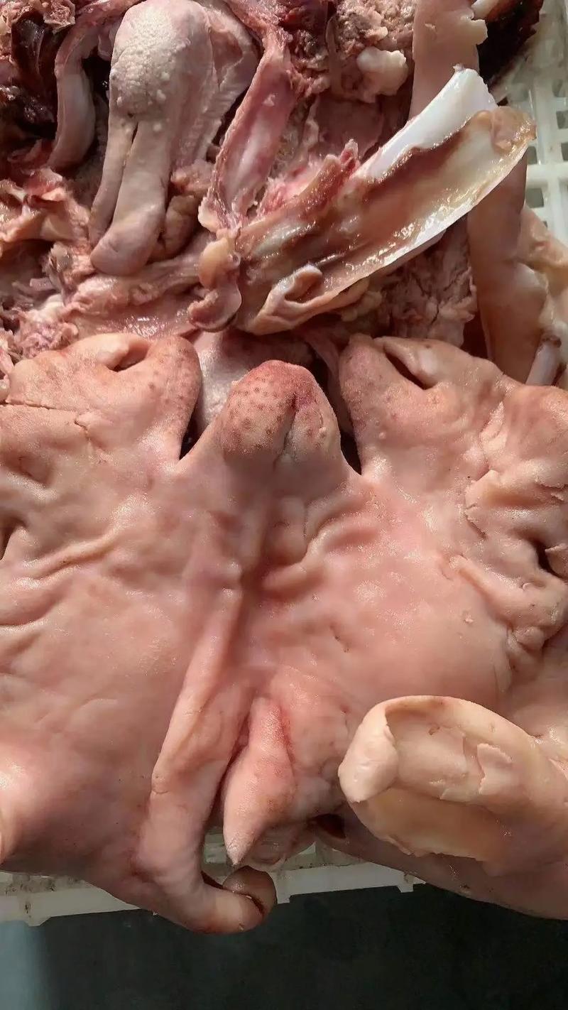 五香熟羊头肉 包邮