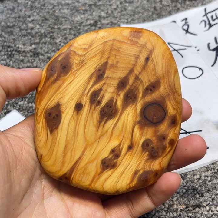 柏木（崖柏）崖柏73