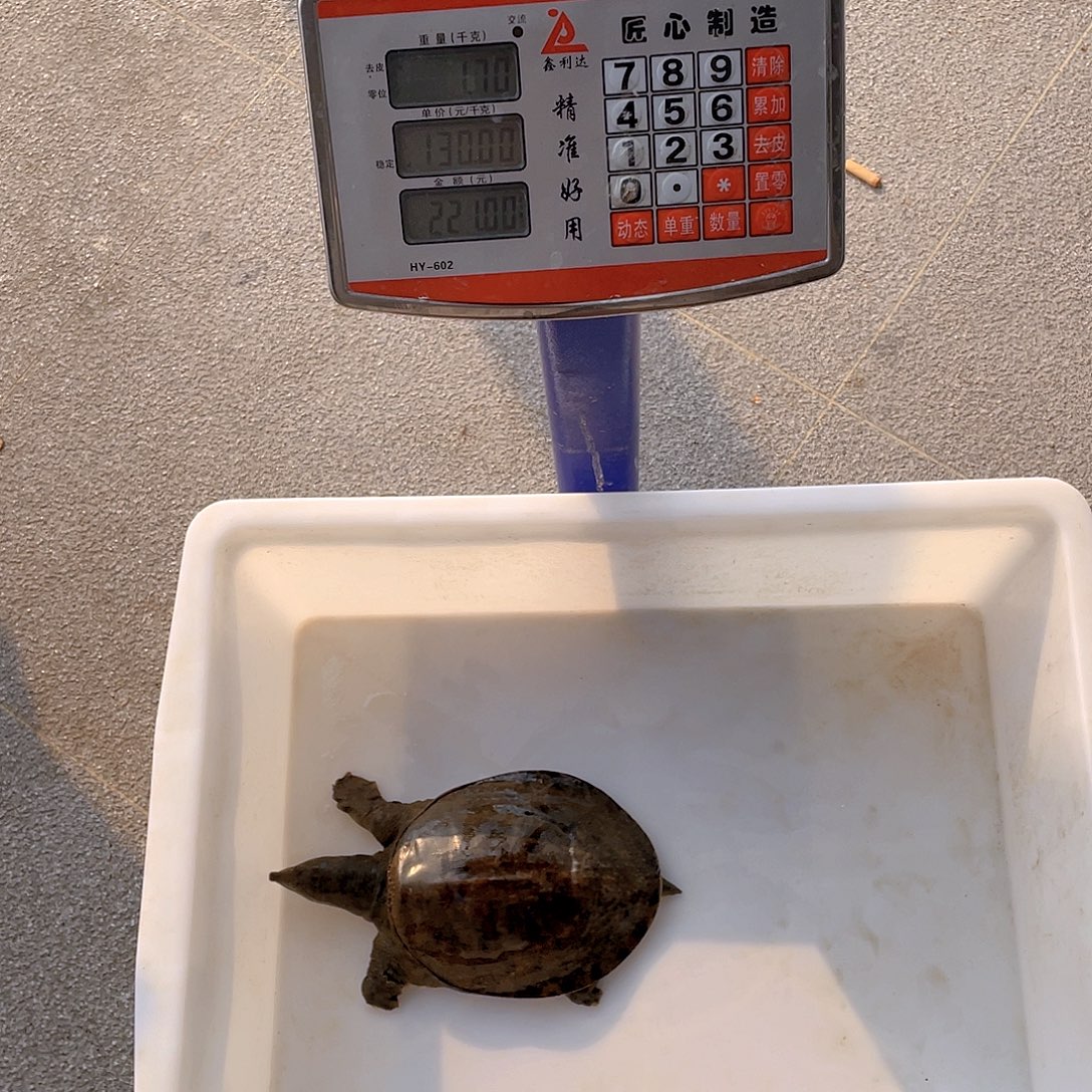 中国大陆47647575674747464