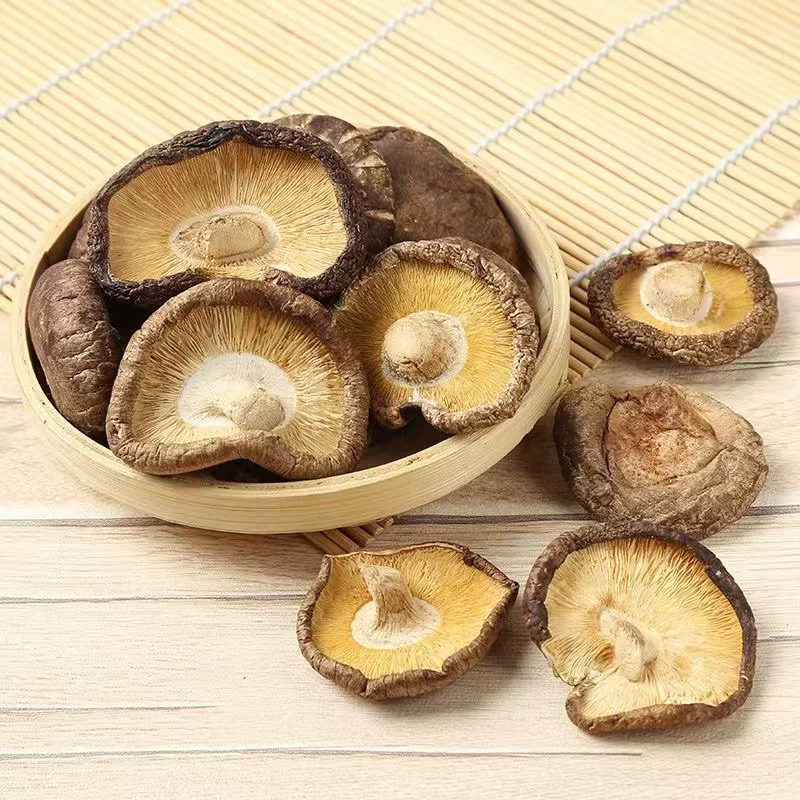 香菇之都黄金香菇产业带鲁山头茬香菇出口品质东北高山花菇无