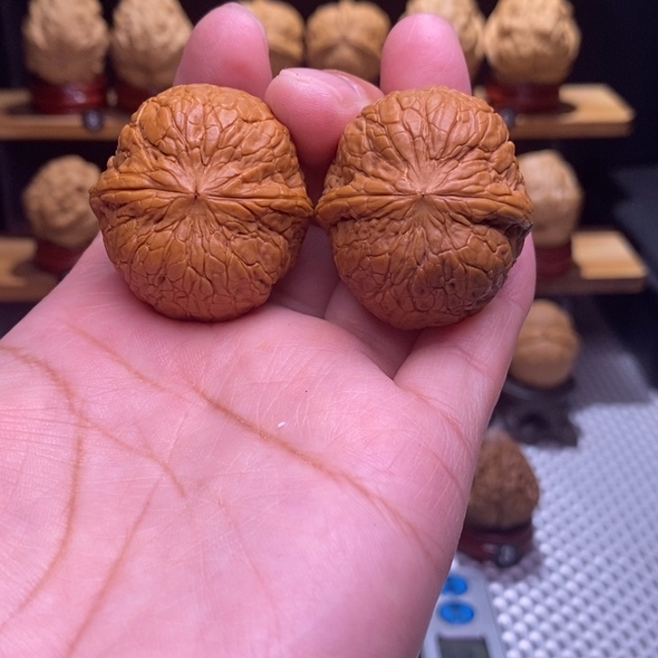 木质类云铁玄蛊地甲117号