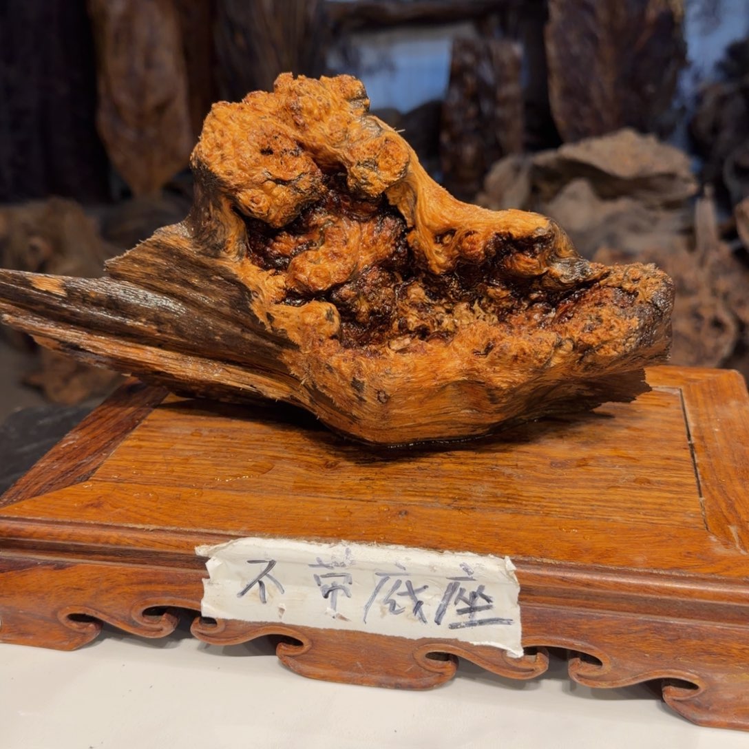 王***明木三丰琥珀木 天然摆件3