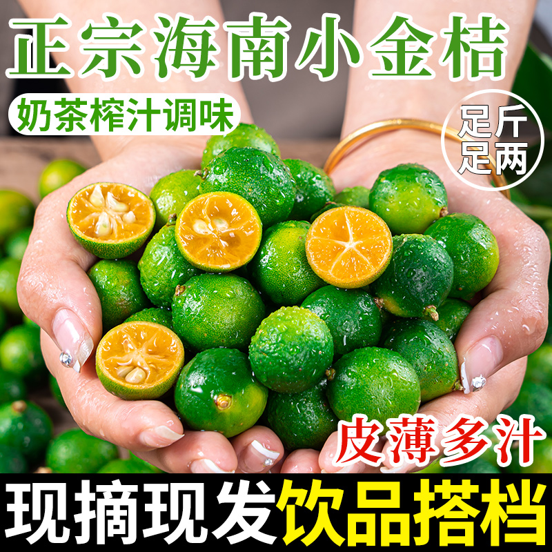 正宗海南青金桔小青柠奶茶店饮品水果精选新鲜现摘柠檬产地直供