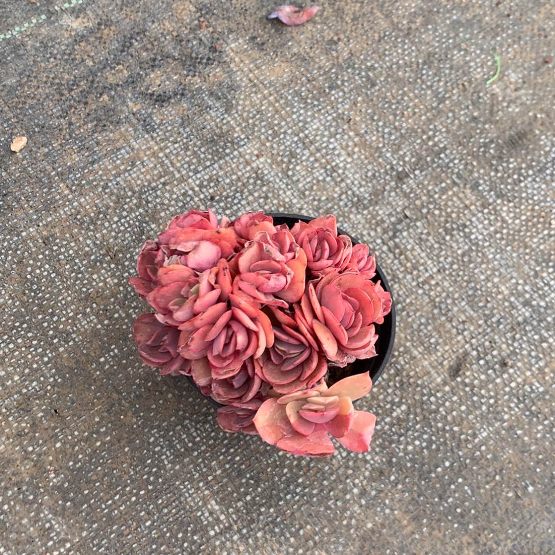 精***贝我们就能成为好老师