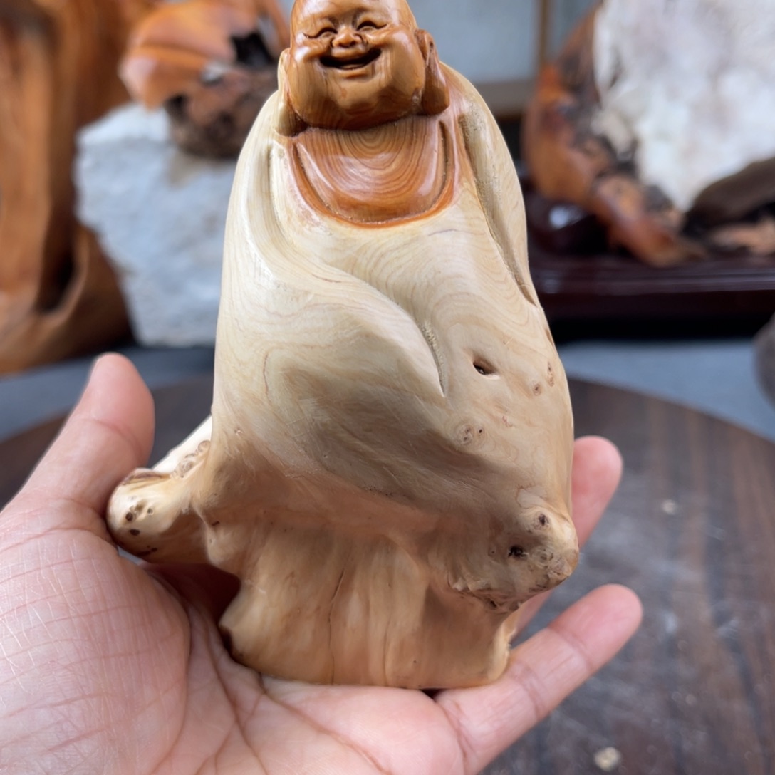 柏木（崖柏）崖柏太行山脉