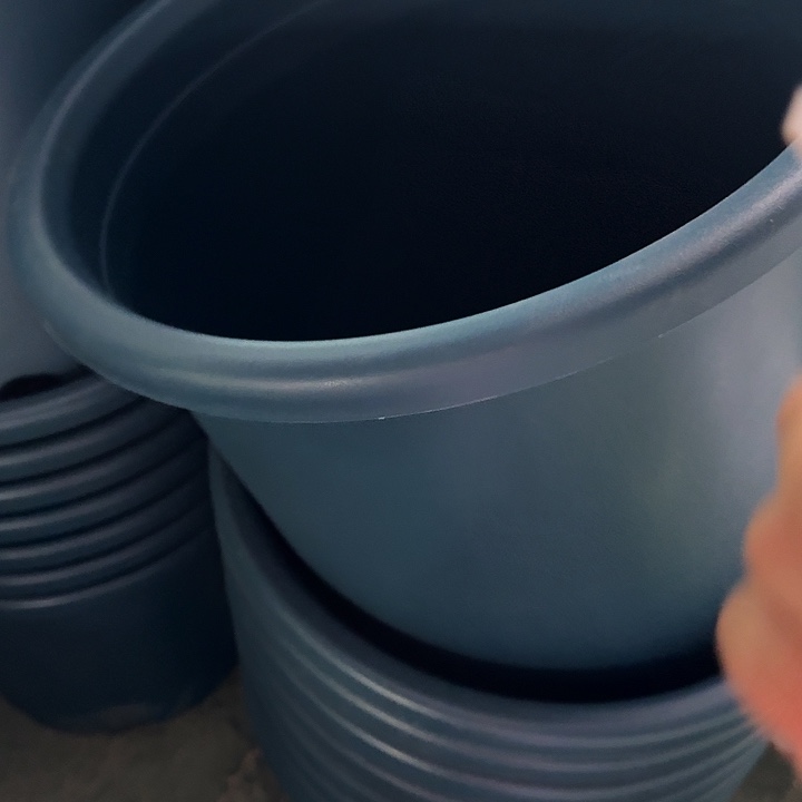 四季9号藏青无托4个