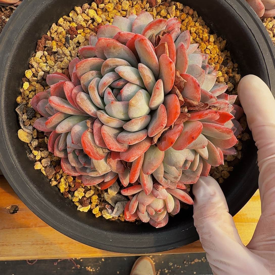 n n n n n n n n n n 17