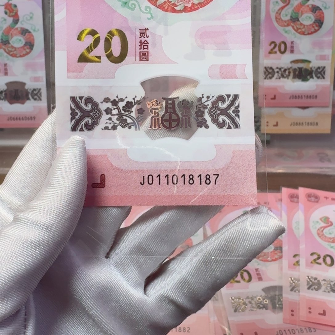 塑料蛇钞J011018187不支持七天无理由