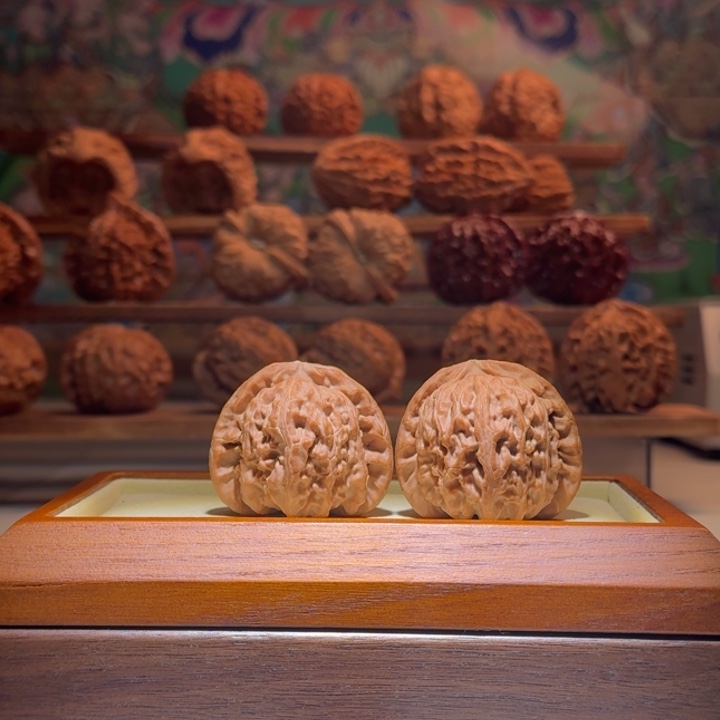 41全品白狮子球白精品