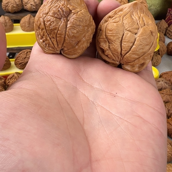 文玩核桃吊坠36尺全品无修官帽蛇头 全身蟒皮纹