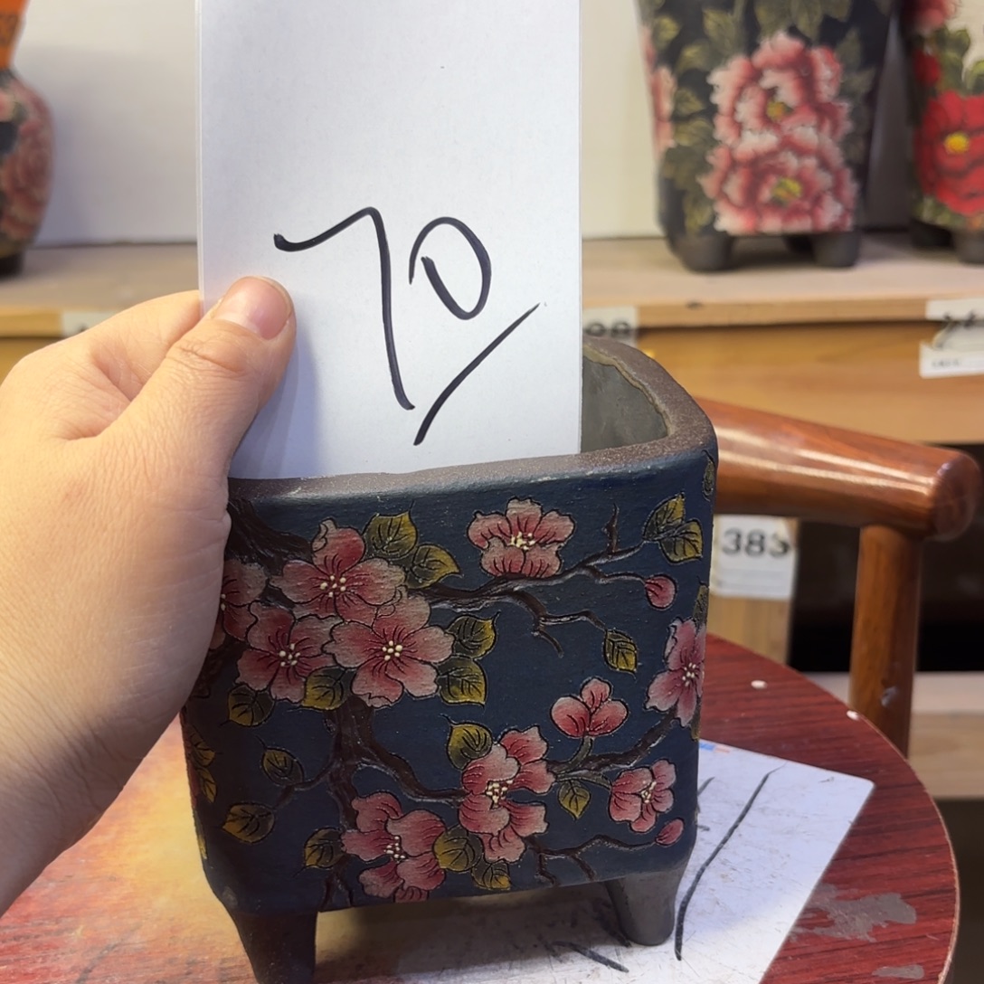 の***猫哈哈哈哈哈哈哈哈