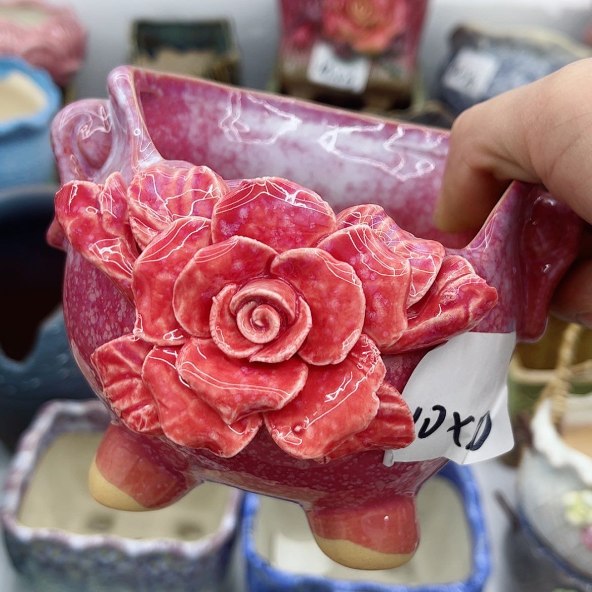 【闪购商品】陶瓷多肉绿植绿植陶瓷花盆