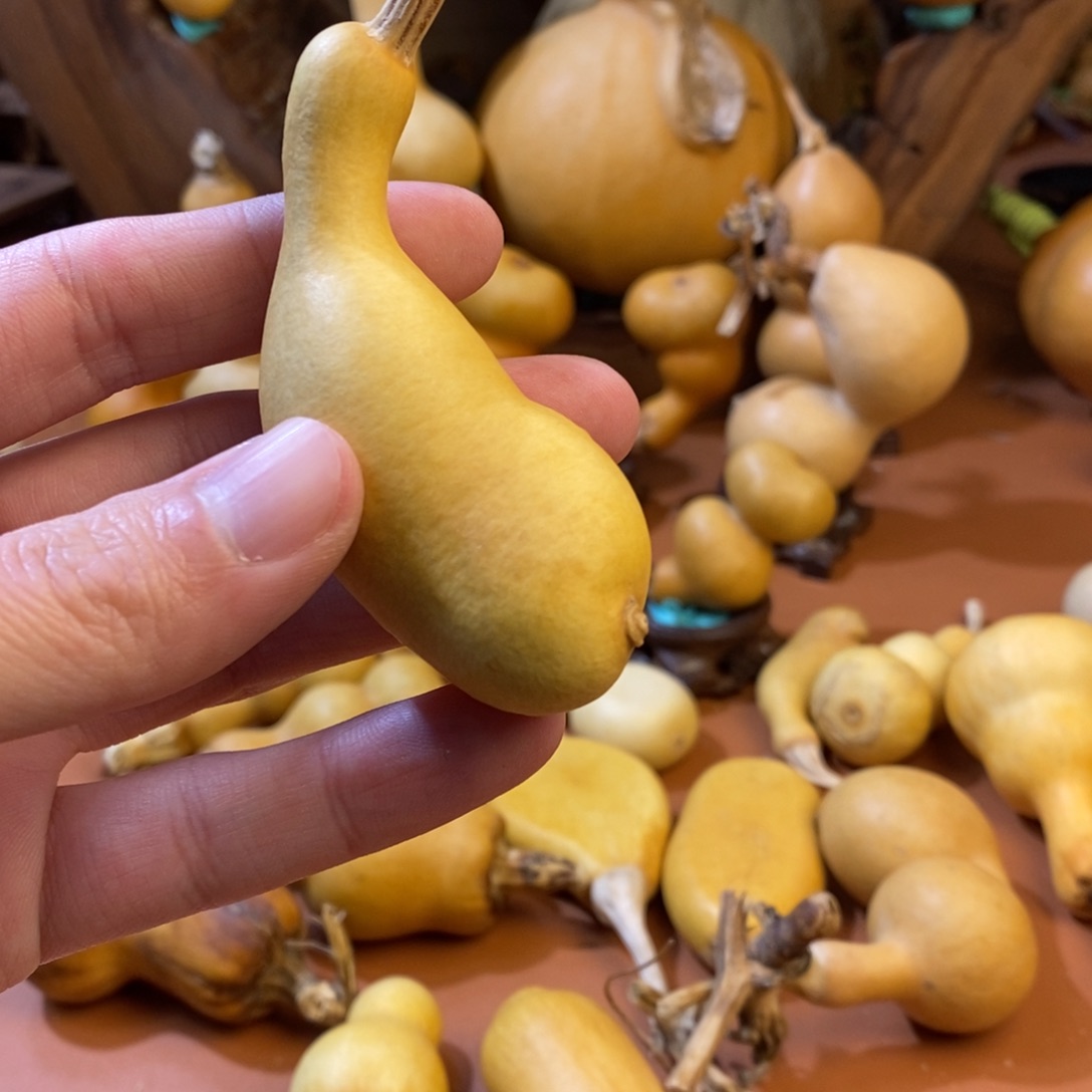 悦***阿教练教练教练教练经理