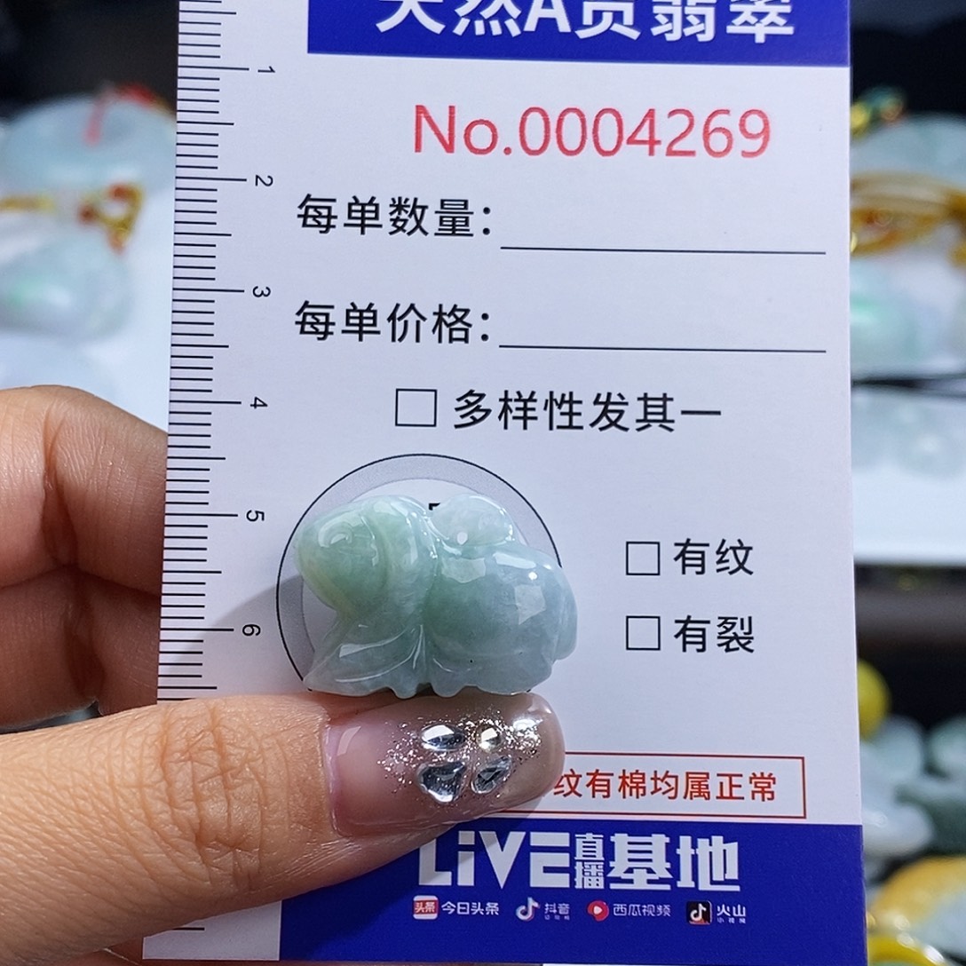 翡翠未镶嵌颈饰4269