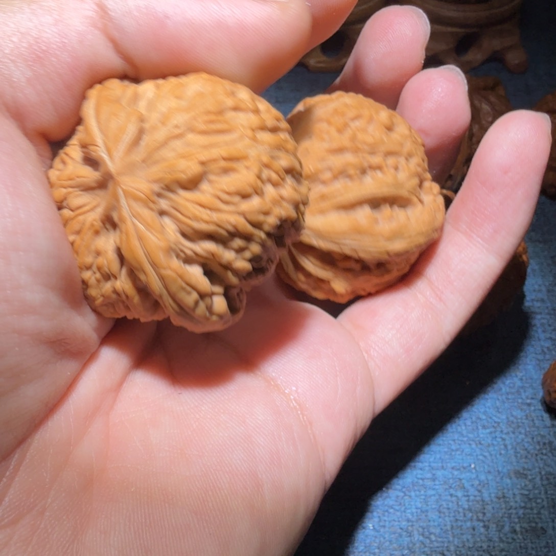 文玩核桃把件我*瞅蛟龙41尺寸114