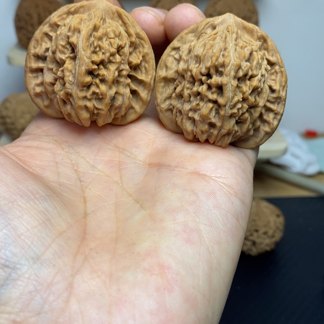 大叶紫檀（黑酸枝木类）43四座楼