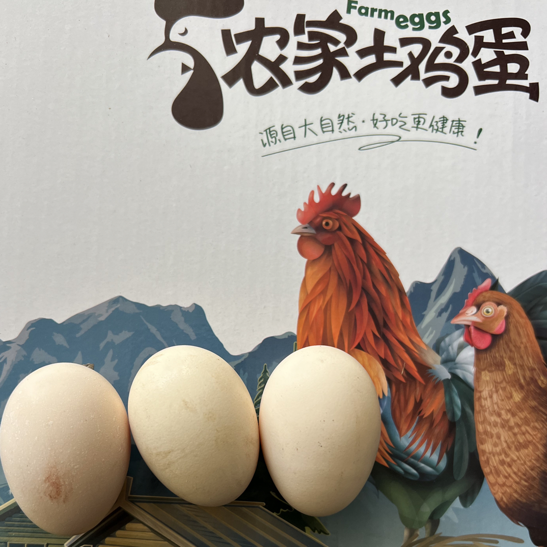 初产蛋散养柴鸡蛋土鸡蛋玉米喂养