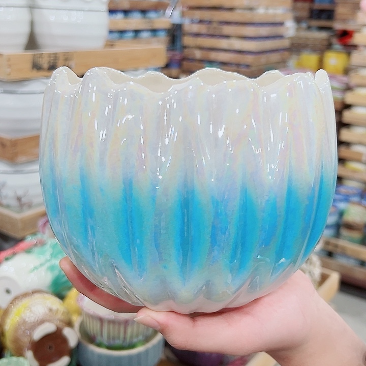 花盆有孔！订单凑满10米包由！