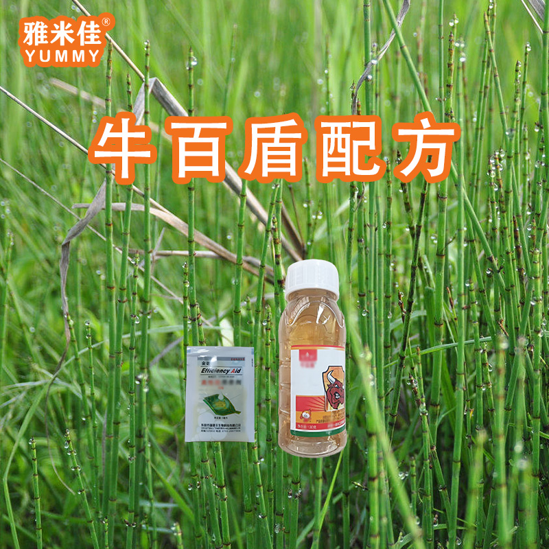 【雅米佳】柑橘笔管解决方案农用肥料