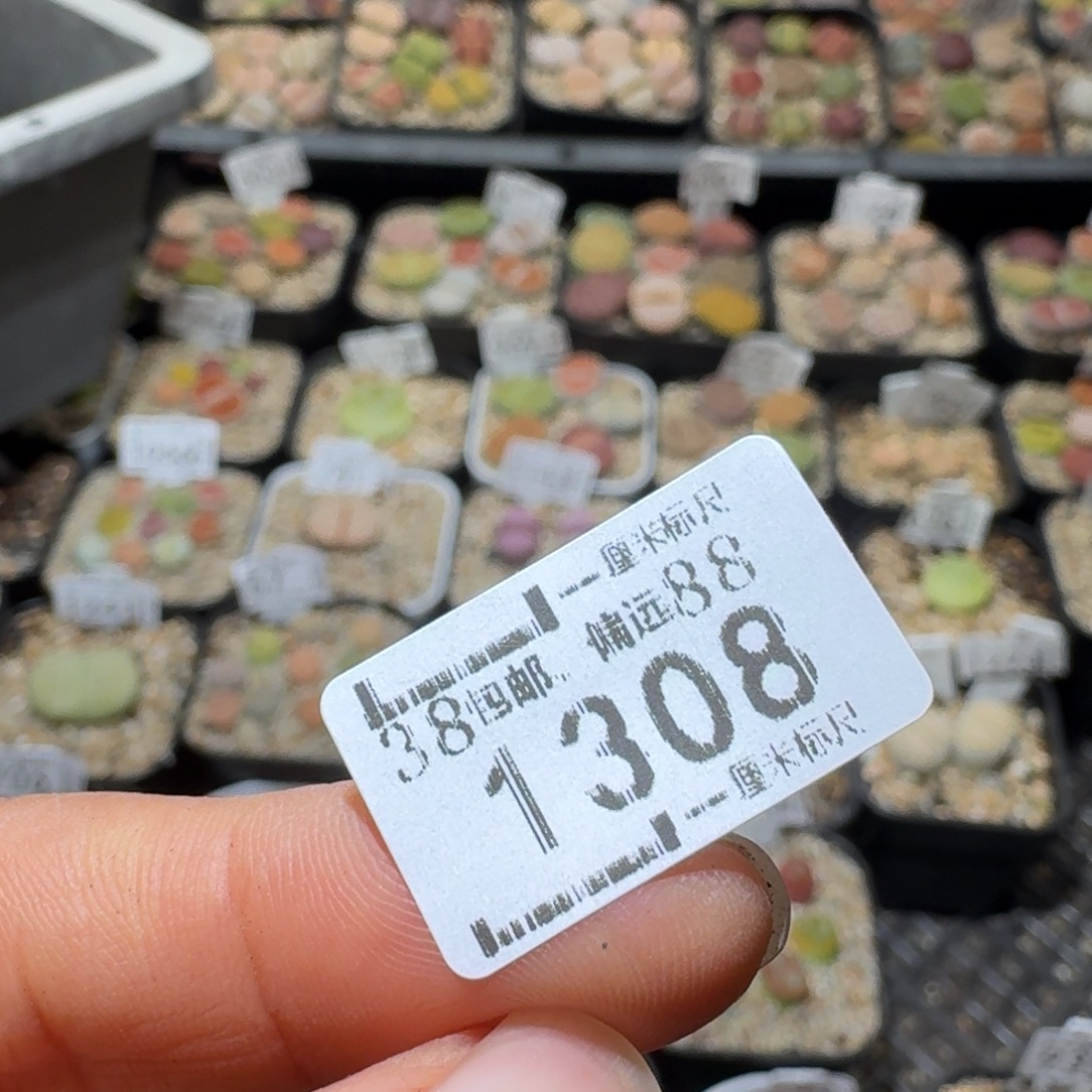 L***.Sss便宜出了清仓1308保温箱2个