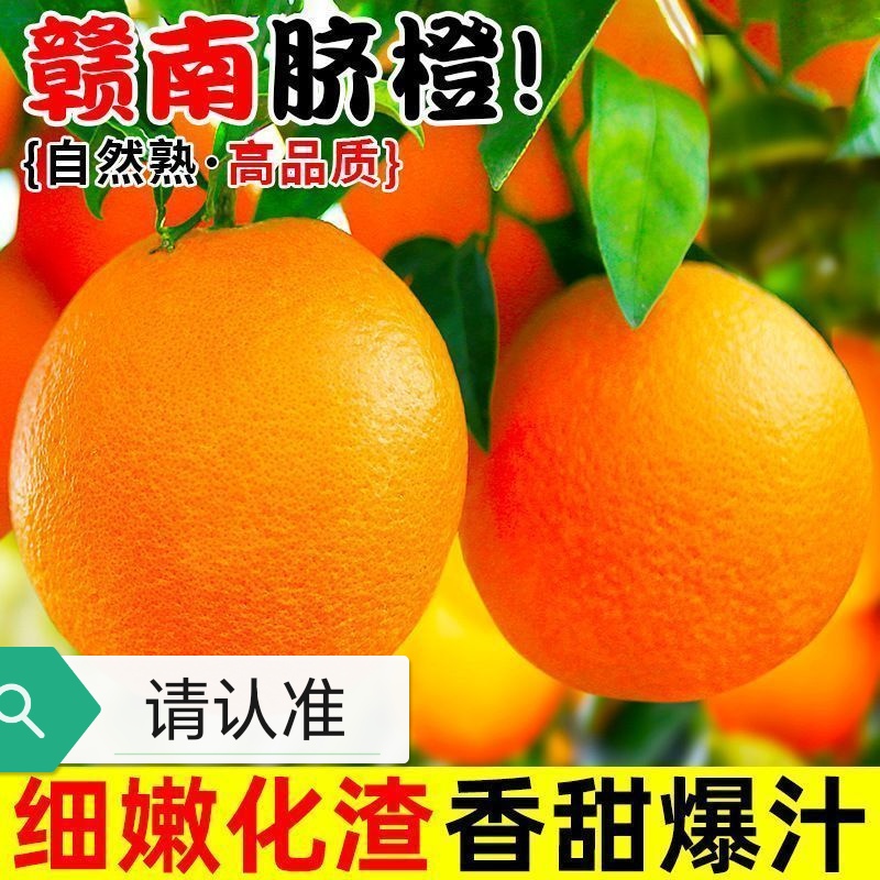 B3【正宗】江西赣南脐橙新鲜采摘赣州甜橙子现摘现发爆甜当季水果