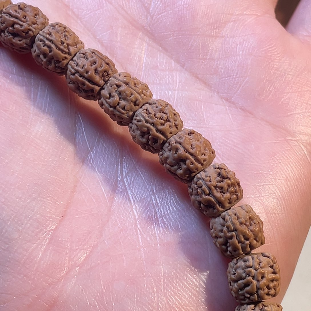 L***h金刚菩提吊坠藏切一代龙