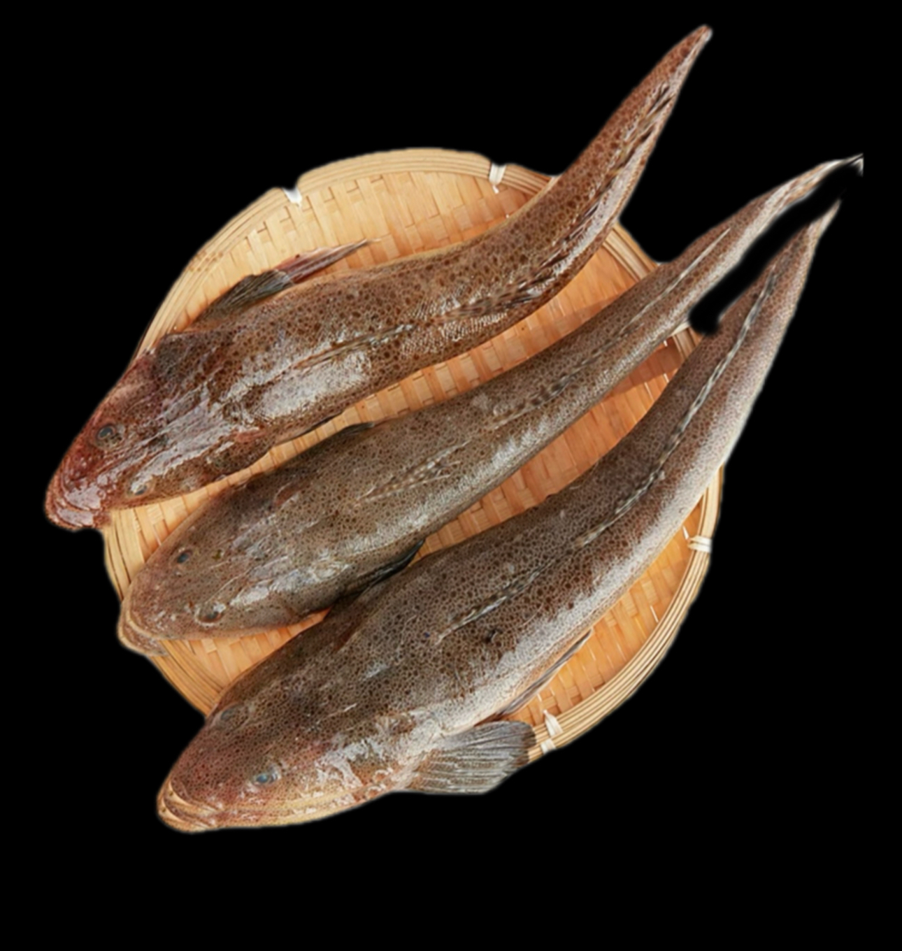 【牛尾/淡甲】惠来神泉中牛尾鱼【5包】冷冻发货新鲜食用干净紧实