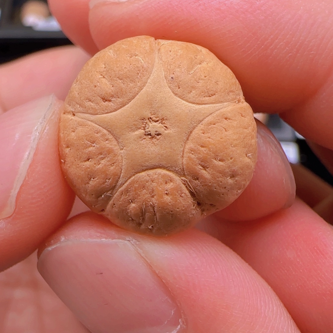 7***菇麒麟眼菩提吊坠20➕精品五星