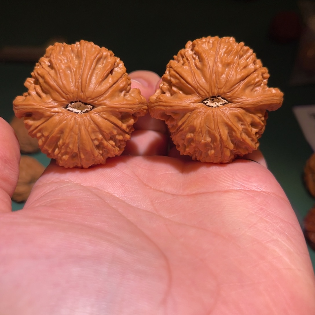 T***m文玩核桃把件45s金麒麟