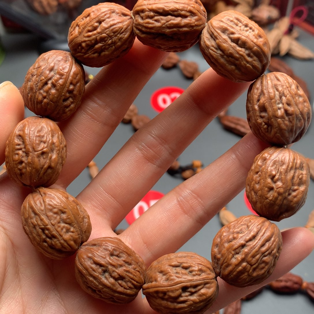 核桃11东北秋子小枣