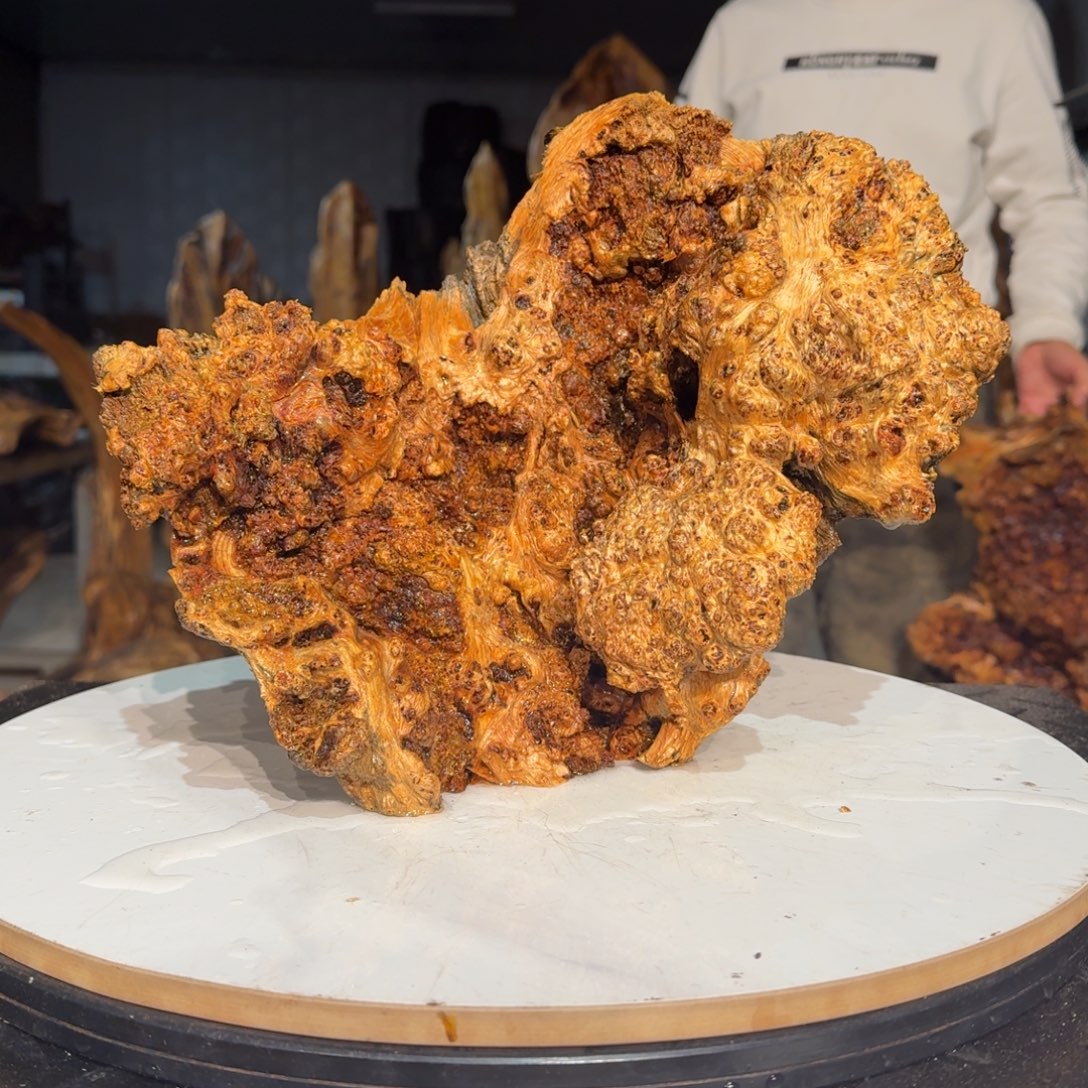 用***4木佳友琥珀木摆件16