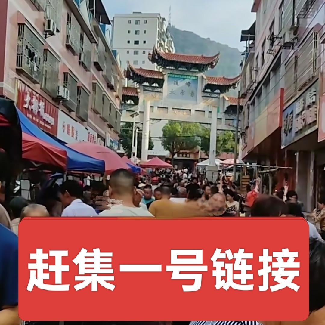 湖南桂阳本地农家货赶集一号链接