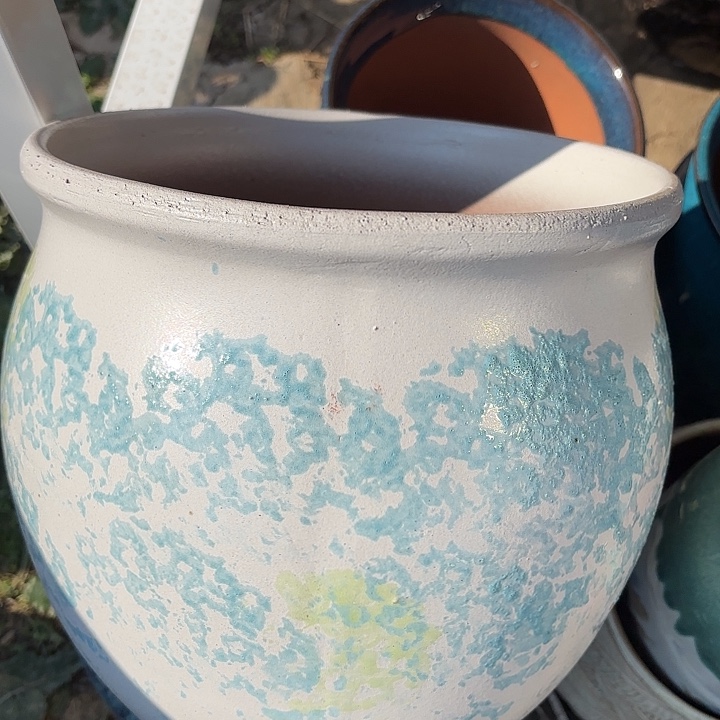 正品紫砂口25高24福利价