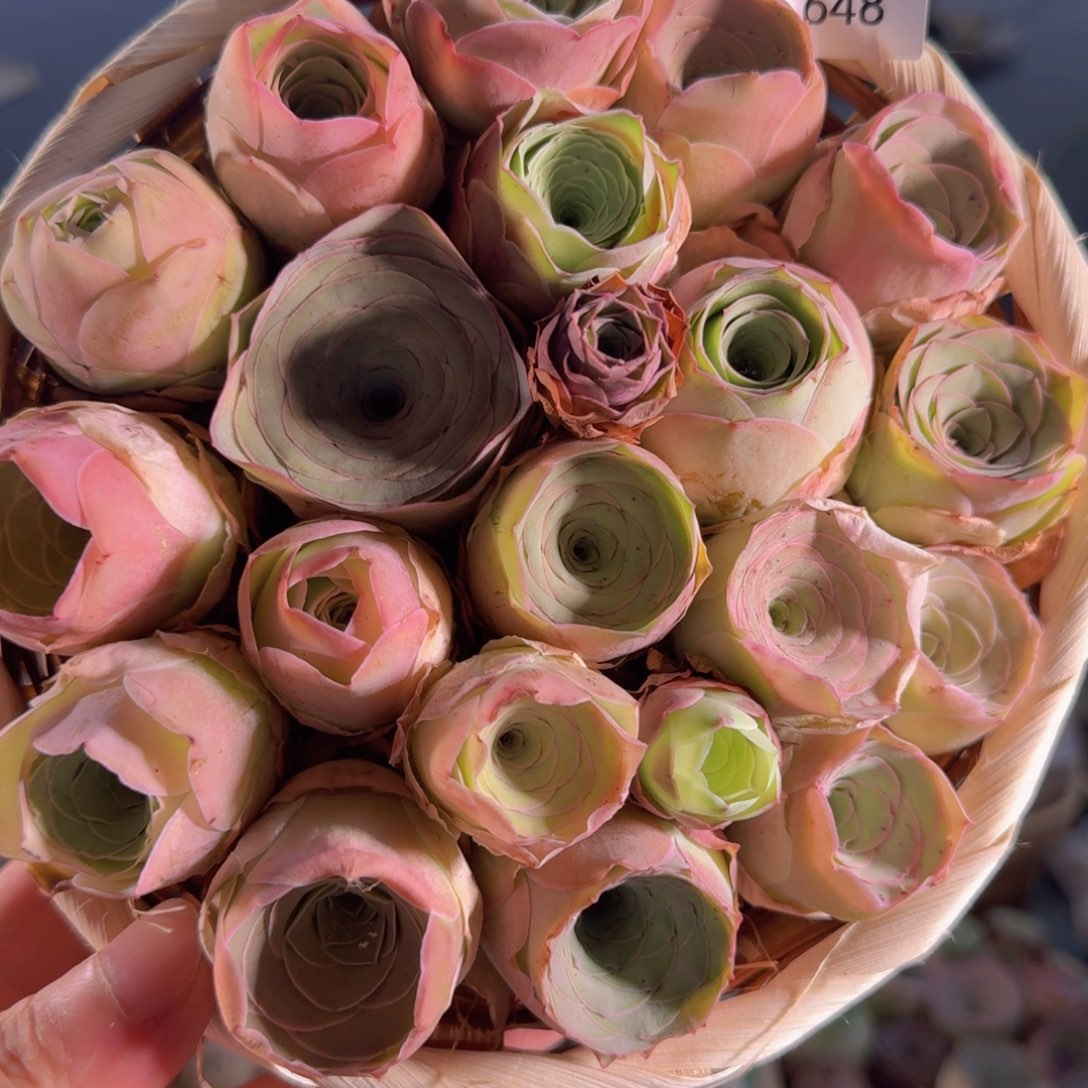 A648 竹编圆篮玫瑰组合