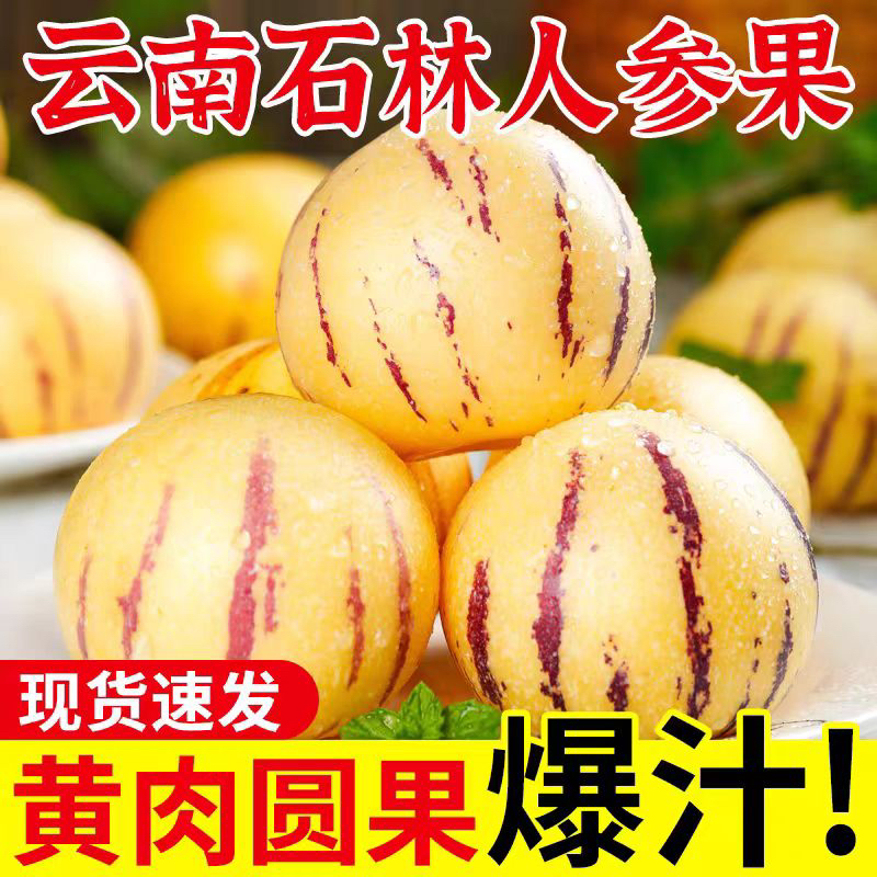 云南石林人参果应季果黄肉圆果新鲜树上熟清甜多汁zw