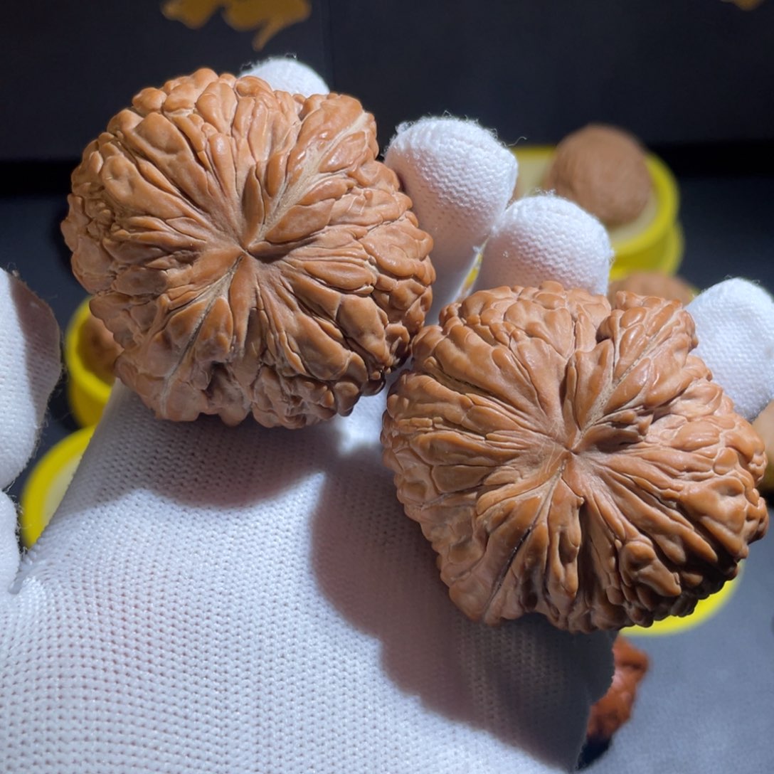 文玩核桃把件全品41收藏级别华坤龙