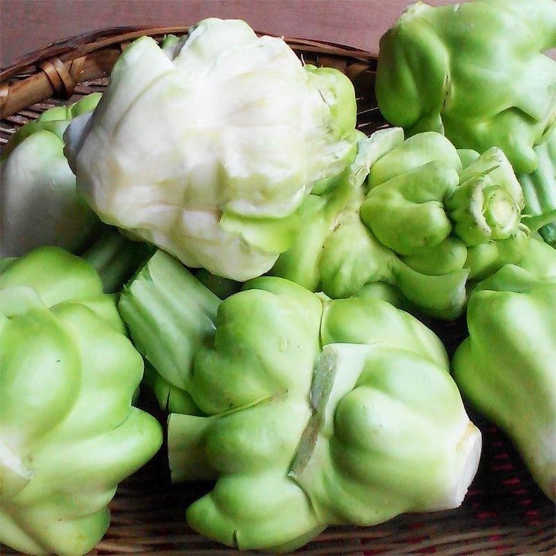 新鲜榨菜头菱角菜羊角菜四川特产农家自种现挖蔬菜