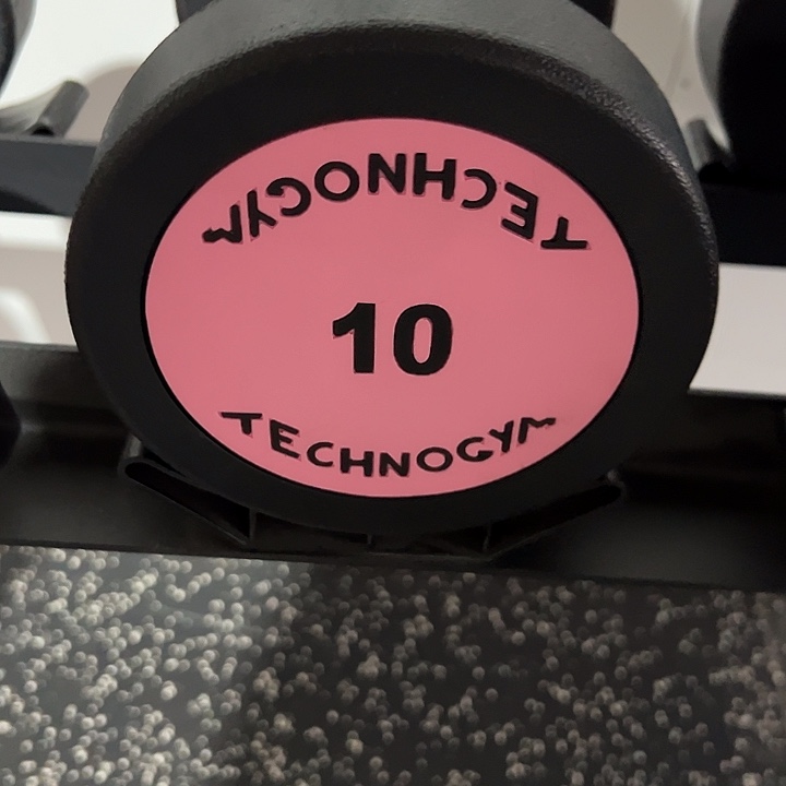 全新纯钢泰诺哑铃10公斤一对粉色