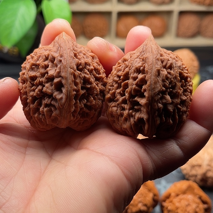文玩核桃把件全品大蒜头边38肚42➕