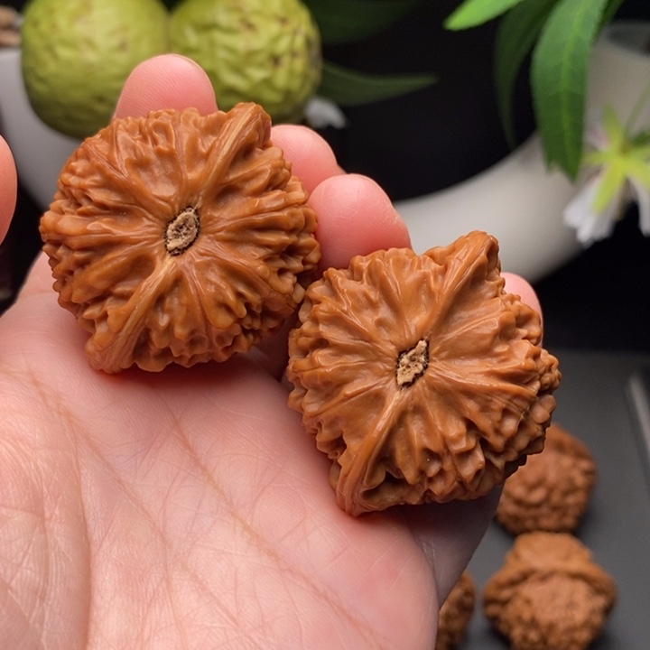 荡***荡文玩核桃把件宫灯45